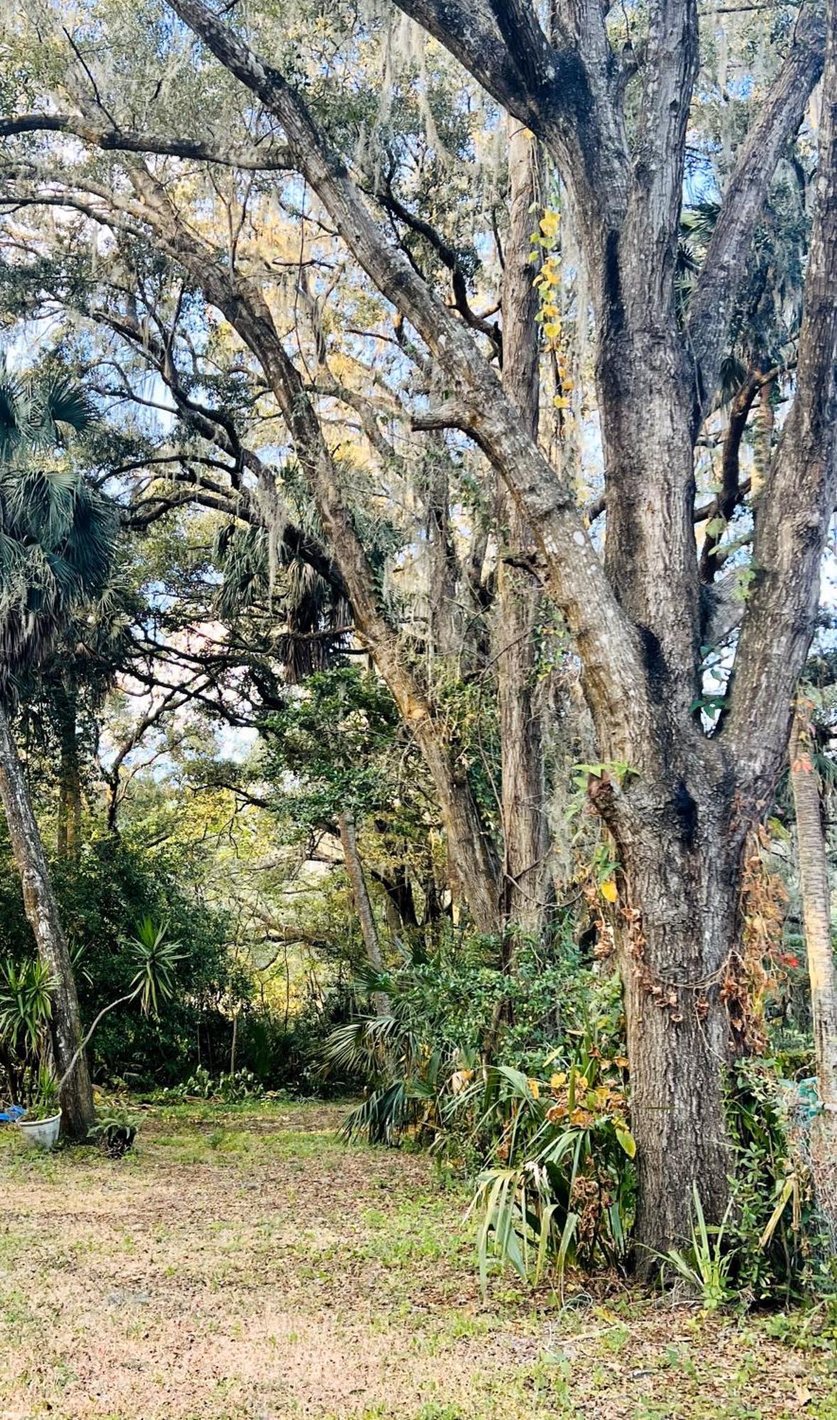 Country Welcome Micanopy Екстер'єр фото