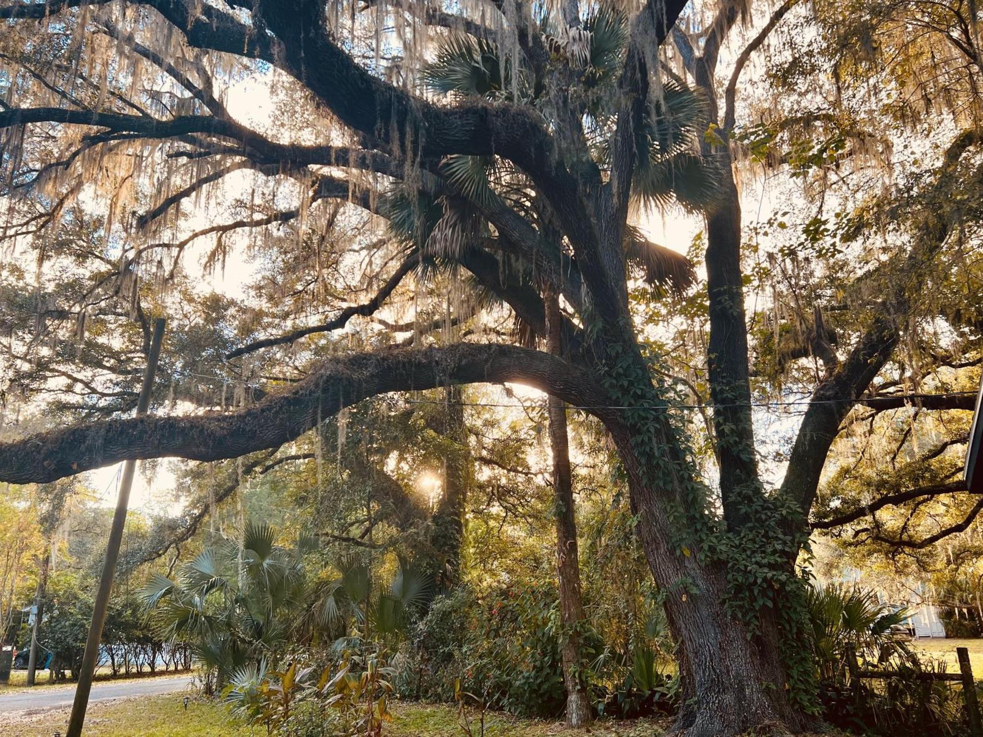 Country Welcome Micanopy Екстер'єр фото